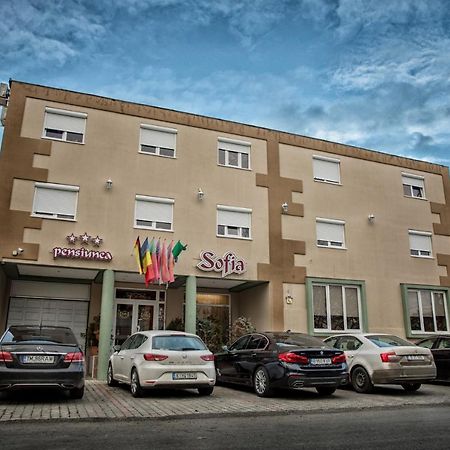 Pensiunea Sofia Timisoara Exterior foto