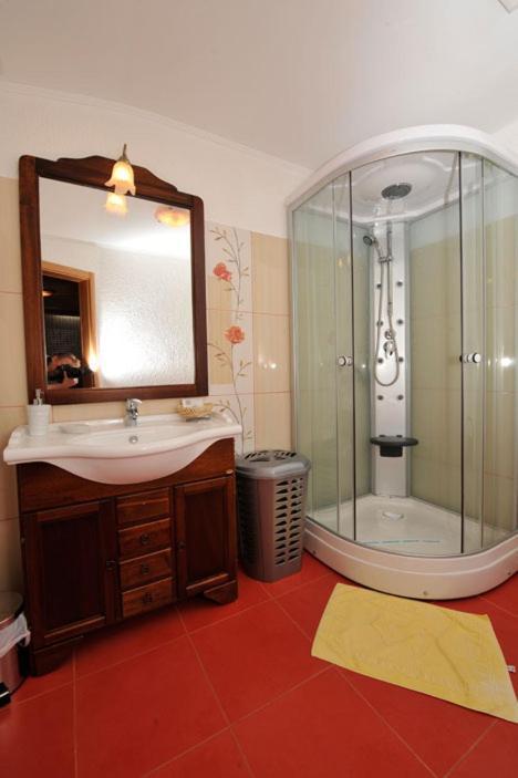 Pensiunea Sofia Timisoara Habitación foto