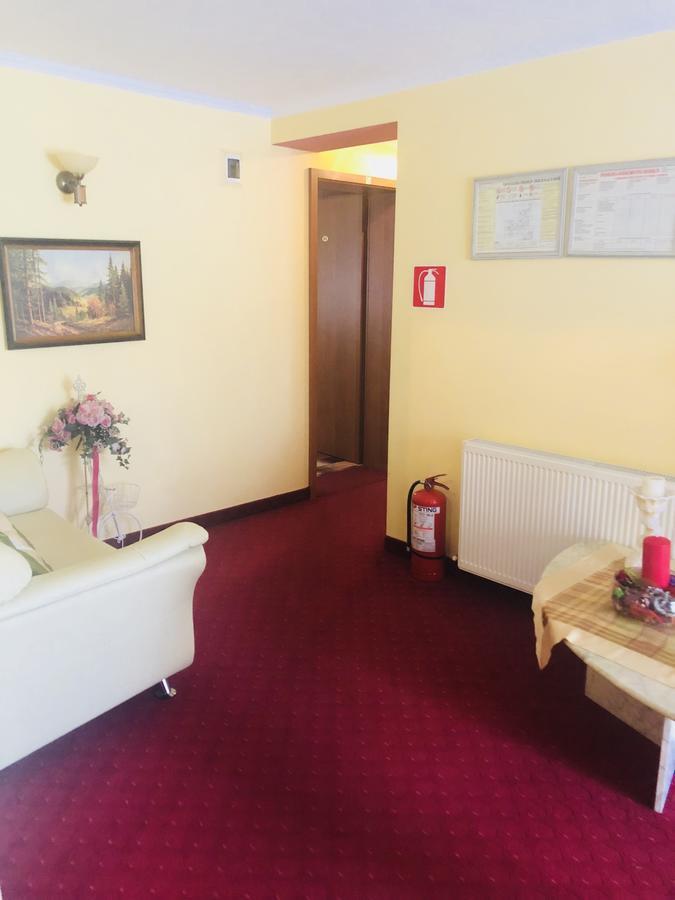 Pensiunea Sofia Timisoara Exterior foto